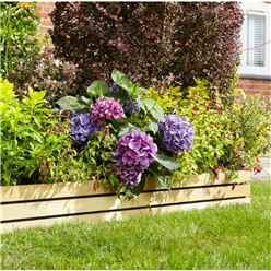 6″ Border Edging (Pack of 2)