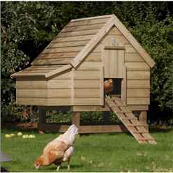 Large Chicken Coop